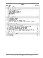 SKKN kinh nghiệm trong chỉ đạo công tác kiểm tra nội bộ trường học 