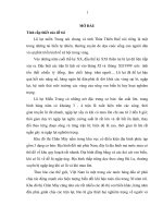 Nghiên cứu một số giải pháp chuẩn bị kỹ thuật nhằm phòng tránh ngập lụt trong QHXD khu đô thị Chân Mây, tỉnh Thừa Thiên Huế