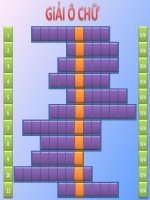 Trò chơi giải ô chữ trong giờ sinh hoạt5