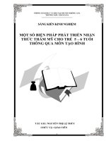 SKKN một số biện pháp phát triển nhận thức cho trẻ thông qua môn tạo hình, lứa tuổi 5 6 tuổi 