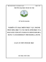 Nghiên cứu đặc điểm thực vật, thành phần hoá học và tác dụng sinh học của hai loài tầm gửi taxillus chinensis (DC ) dans và macrosolen tricolor (l ) dans