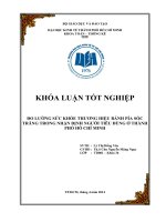 ĐO LƯỜNG SỨC KHỎE THƯƠNG HIỆU BÁNH PÍA SÓC TRĂNG TRONG NHẬN ĐỊNH NGƯỜI TIÊU DÙNG Ở THÀNH PHỐ HỒ CHÍ MINH