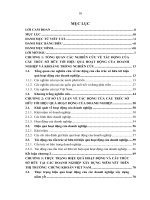 Tiểu luận tác động cấu trúc sở hữu đến hiệu quả hoạt động của doanh nghiệp việt nam 