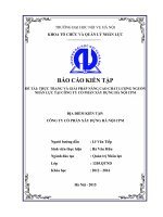 Thực Trạng Và Giải Pháp Nâng Cao Chất Lượng Nguồn Nhân Lực Tại Công Ty Cổ Phần Xây Dựng Hà Nội CPM