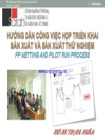 HƯỚNG DẪN CÔNG VIỆC HỌP TRIỂN KHAI SẢN XUẤT VÀ SẢN XUẤT THỬ NGHIỆM