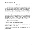 bai thao luan  thu hút FDI vào VN từ năm 2000 đến nay