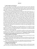 Tác động tràn của đầu tư trực tiếp nước ngoài đối với các doanh nghiệp thuộc ngành dệt may Việt Nam (TT)