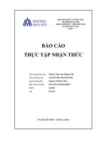 Báo cáo thực tập nhận thức tại công ty may mặc quảng việt, TPHCM 2013