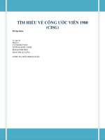 Tiểu luận môn quản trị xuất nhập khẩu tìm hiểu về công ước viên 1980 CISG 