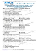 Các dạng bài tập về cấu trúc và chức năng của NST luyện thi THPT Quốc Gia