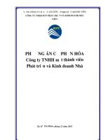 PHƯƠNG ÁN CỔ PHẦN HÓA Công ty TNHH một thành viên Phát triển và Kinh doanh Nhà