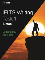 simons task 1 samples