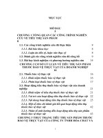Các biện pháp đẩy mạnh tiêu thụ sản phẩm thuốc bảo vệ thực vật tại công ty TNHH hóa chất và thương mại trần vũ 