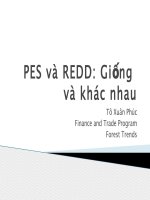 Sự giống và khác nhau giữa PES và REDD