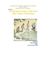 Vấn đề môi trường việt nam