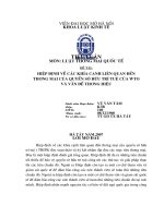 Hiệp định về các khía cạnh liên quan đến thương mại của quyền sở hữu trí tuệ của WTO và các vấn đề thương hiệu