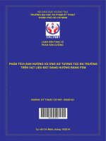Phân tích ảnh hưởng và ứng xử tương tác đa trường trên vật liệu bất đẳng hướng bằng FEM