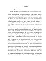 Tiểu luận pháp luật điều kiện thương mại chung vấn đề thực tiễn và lý luận