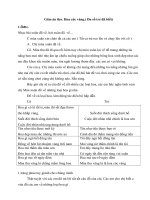 Giáo án thơ hoa cúc vàng mầm non