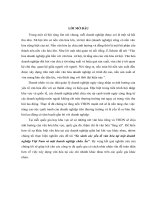 So sánh các yếu tố văn hóa tại một doanh nghiệp Việt Nam và một doanh nghiệp châu Âu