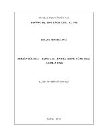 Nghiên cứu hiện tượng chuyển pha trong vùng hoạt lò phản ứng hạt nhân