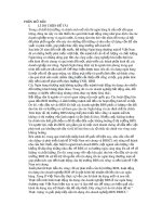 Đề tài: Thực trạng và giải pháp tiếp cận tín dụng cho doanh nghiệp bất động sản đồng bằng sông cửu long