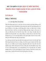 BẢO VỆ MÔI TRƯỜNG TRONG PHÁT TRIỂN KINH tế DU LỊCH ở TỈNH NINH BÌNH