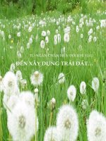 Từ ngăn chặn biến đổi khí hậu đến xây dựng trái đất