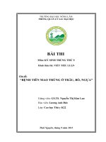 bệnh tiêm mao trùng ở trâu, bò, ngựa