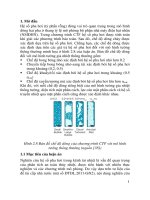 Nghiên cứu hiện tượng chuyển pha trong vùng hoạt lò phản ứng hạt nhân (TT)