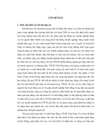 Tiểu luận về huy động vốn của doanh nghiệp trên thị trường chứng khoán việt nam 