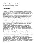 Chicken soup for the soul   jack canfield and mark hansen