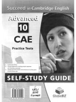 Succeed in CAE 2015 self study guide