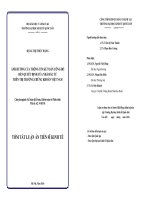 Tóm tắt luận án Ảnh hưởng của thông tin kế toán công bố đến quyết định của nhà đầu tư trên thị trường chứng khoán Việt Nam