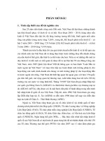 Tiểu luận về mô hình phân tích quan hệ giữa FDI với tăng trưởng nền kinh tế việt nam 