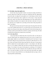 Tiểu luận nghiên cứu sự thỏa mãn đến lòng trung thành và hành vi mua lặp lại đối với người tiêu dùng đô thị việt nam