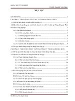 Kế toán doanh thu, chi phí và xác định kết quả kinh doanh tạoiCÔNG TY TNHH AUREOLE BCD