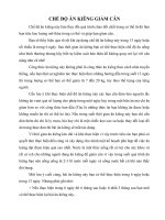 Chế độ ăn kiêng để giảm cân  đảm bảo hiệu quả 100%