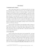 Tiểu luận nghiên cứu quy trình quản lý nghiệp vụ trong lĩnh vực ngân hàng thương mại ở việt nam 