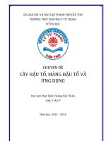 Cây hậu tố, mảng hậu tố, và ứng dụng