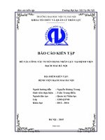 Công Tác Tuyển Dụng Nhân Lực Tại Bệnh Viện Bạch Mai Hà Nội