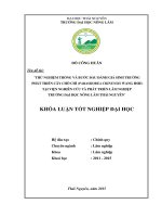 Thử nghiệm trồng và bước đầu đánh giá sinh trưởng phát tri ển cây chò chỉ tại viện nghiên cứu và phát triển lâm nghiệp – trường đại học nông lâm thái nguyên