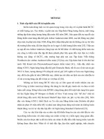 Tiểu luận nghiên cứu nhân tố ảnh hưởng đến chất lượng kiểm toán báo cáo tài chính doanh nghiệp trên thị trường chứng khoán 