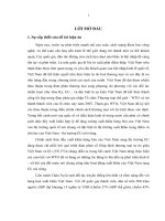 Tiểu luận về chính sách thúc đẩy xuất khẩu hàng hóa việt nam vào EU khi tham gia vào WTO 