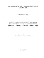 Khả năng sản xuất và đa hình gen PRKAG3 của lợn lũng pù và lợn bản