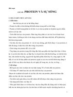 giáo án tích hợp liên môn sinh học 9 bài PROTEIN và sự SỐNG