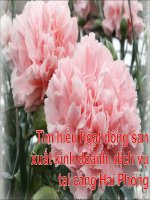 BÀI tư CÁCH môn KINH tế CẢNG tìm HIỂU HOẠT ĐỘNG sản XUẤT KINH DOANH tại CẢNG hải PHÒNG