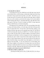 Tiểu luận công cụ về nghiệp vụ thị trường mở tại nước cộng hòa dân chủ nhân dân lào 