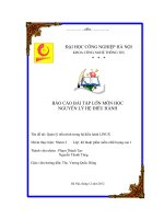 Báo cáo bài tập lớn nguyên lý hệ điều hành