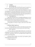 phân tích lợi thế cạnh tranh của huyện thanh chương dựa trên mô hình kim cương của m porter